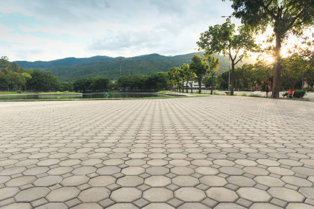 Best Residential Paver Driveway  in Collingdale, PA