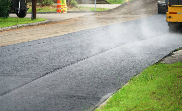 Best Local Driveway Pavers  in Collingdale, PA